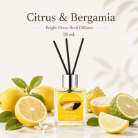 Lot de diffuseurs à bâtonnets 50 ml sans flamme pour la maison, parfum d'intérieur, aromathérapie, avec bâtonnets, parfum personnalisé OEM