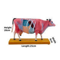 Modèle d'anatomie animale pour acupuncture : Chat, Vache, Cheval, Chien, Porc - Modèle d'anatomie du squelette animal pour la science médicale