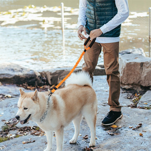 สายจูงสุนัขขนาดใหญ่แบบยืดหยุ่นพร้อมสายรัดอกไนลอนสำหรับเดินเล่นกลางแจ้ง - Product Image 1