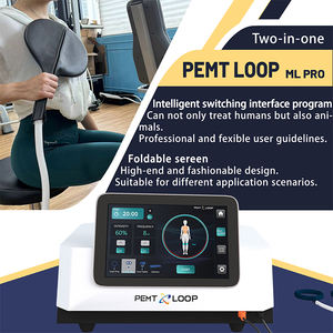 Appareil de thérapie magnétique Pemt Loop pour la douleur et l'anxiété, dispositif Pemf Loop, équipement médical magnétique physique - Product Image 1