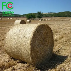 Pertanian Disesuaikan Uv HDPE Stabilitas Hay Putaran Bale Net Wrap Bale Hay Net