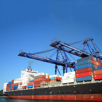Service de transitaire maritime porte-à-porte DDP, agent d'expédition DHL de Chine vers la Lituanie et la Roumanie, logistique express