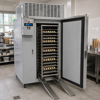 Snelle luchtgekoelde vorstvrije multi-deur vrieskist blast chiller trolley 15-40 bakken professionele gelato ijs room friet