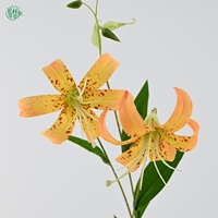 Premium 79cm Realistische Künstliche Seiden-Lilien Lebensechte Heimdekoration für Hotel Hochzeit Tischdekoration Arrangement