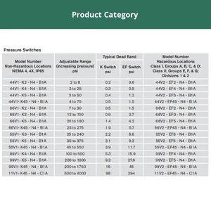 Interruptor de Vacío Diferencial SOR IP65 con 1 Año de Garantía 44/66/55/99/11/V1/-K2/4/5-N4-C1A - Product Image 4