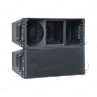 Système de Son Line Array Professionnel HDL210 Double 10 Pouces Passif 2 Voies de Haute Qualité pour Scène DJ