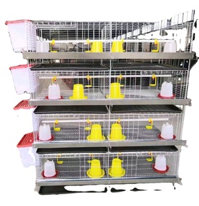 Cage de poulet pour bébé de type H de 45 jours/couveuse/cages de poussins de couche d'un <span class=keywords><strong>jour</strong></span> <span class=keywords><strong>à</strong></span> <span class=keywords><strong>vendre</strong></span> au Zimbabwe - Product Image 1