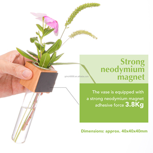Jardinière murale en <span class=keywords><strong>bois</strong></span>, stations de propagation de plantes en verre, <span class=keywords><strong>vase</strong></span> à bourgeons en tube de verre pour réfrigérateur, <span class=keywords><strong>vase</strong></span> à fleurs en <span class=keywords><strong>bois</strong></span> en forme de cube pour fenêtre - Product Image 4