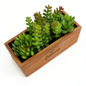 Mini Succulente Artificielle avec Texture Réaliste, Boîte en Bois, Plante Succulente Artificielle en Pot, Végétation Décorative en Pot pour la Décoration de la Chambre - Product Image 6
