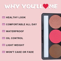 OCHAIN, vente en gros à faible MOQ, poudre de fard à joues en 3 couleurs, poudre illuminatrice végane, imperméable, longue durée, haute pigmentation, palette de poudre de contour