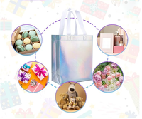 Sacs cadeaux brillants irisés en non-tissé pour anniversaires, mariages, Pâques, fêtes et autres occasions