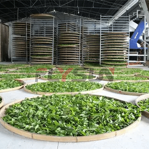 เครื่องอบแห้งใบสะระแหน่ถาดอบใบชาเครื่องอบแห้งใบ - Product Image 4