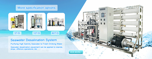 Système de dessalement d'eau de mer 12,5 TPH pour l'irrigation, équipement de filtration d'eau salée, usine de production d'eau pure - Product Image 5