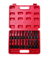 Peaktop 20Pcs SAE/Metric 1/2 "Drive Master Impact Hex Bit Socket Set