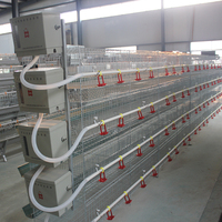 Poulailler de poulet automatique de Type H, équipement agricole de volaille, vente en gros