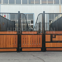 Box de chevaux robustes galvanisés à chaud avec panneau de remplissage en bambou de 20-38 mm, box équestres préfabriquées portables pour ferme