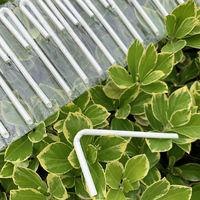 Logo personnalisé/couleur pailles PLA en forme de U-biodégradable, écologique, jetable, 100% compostable, fournisseur OEM/ODM