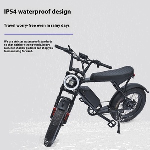 Vélo électrique tout-terrain rétro de 20 pouces, moteur de moyeu arrière à pneus larges, 48V, 250W, lithium pour Amazon, vente en gros transfrontalière - Product Image 1