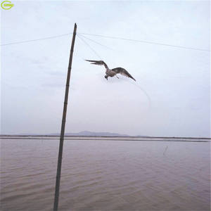 Filets de capture d'oiseaux les plus vendus <span class=keywords><strong>pour</strong></span> les <span class=keywords><strong>moineaux</strong></span> et les cailles - Product Image 6