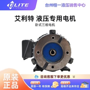 Moteur hydraulique Elite 0,75/1,5/2,2/3,75 KW horizontal triphasé pour systèmes hydrauliques - Product Image 3