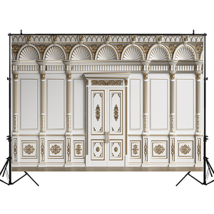 Tùy chỉnh kích thước thiết kế nóng bán thanh lịch cổ điển cử<span class=keywords><strong>a</strong></span> nhiếp ảnh nền - Product Image 1