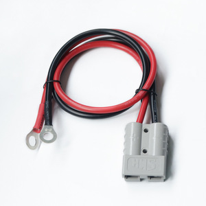 Custom 50A 120A 350A High Current Charging Connector Cables Wire Harness New Energy Vehicle PVC Insulated Power Cable Assembly