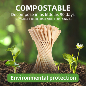 Bán Buôn Teppo Xiên BBQ Công Cụ Thân Thiện Với Môi <span class=keywords><strong>200Pcs</strong></span> Cocktail Chọn Tre Xiên Cho BBQ Công Cụ Bền Vững Và Màu Xanh Lá Cây - Product Image 3