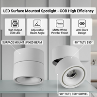Plafonnier LED encastré 10W, certifié CE BIS, orientable, dimmable, spots LED encastrés