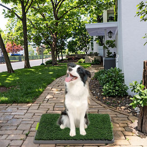 2025 tappeto in erba artificiale per interni/esterni eco-friendly per cani Area di addestramento vasino con decorazione del prato del <span class=keywords><strong>Patio</strong></span> bella Era - Product Image 6