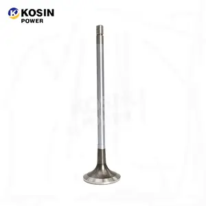 Fast Delivery Wholesale Machinery Diesel Parts 4065481 QSK60 Engine Exhaust Valve