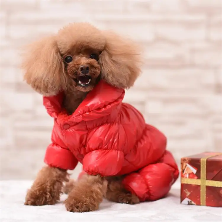 Ropa Mascotas De Perro Dogs Cloth Wholesale Roupa Pet Apparel Ropa Para Perro Big Luxury Designer Dog Clothes