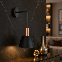 Lampe murale LED moderne noire 30 Watts, design créatif en métal, abat-jour en fer forgé, idéale pour l'éclairage de salon et de couloir