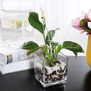 Commercio all'ingrosso grande vetro chiaro cubo vaso di colore personalizzato Design moderno arredamento per la casa di nozze quadrato fiore e pianta vaso - Product Image 4