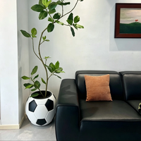 Pot de fleurs intelligent en forme de ballon de football créatif, auto-arrosant, pour la décoration de bureau et de maison