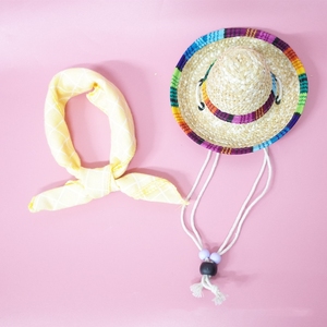 Sombrero de playa <span class=keywords><strong>para</strong></span> <span class=keywords><strong>perro</strong></span>, Mini Sombrero de paja <span class=keywords><strong>para</strong></span> gatito, sombreros de Fiesta Mexicana <span class=keywords><strong>para</strong></span> mascotas pequeñas, cachorro, gato, <span class=keywords><strong>Chihuahua</strong></span>, Bulldog Francés, venta al por mayor - Product Image 5