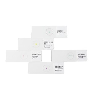 L'expérience de l'examen d'entrée au collège comprend 12 diapositives pédagogiques, telles que des diapositives sur les quatre tissus humains de base. - Product Image 1