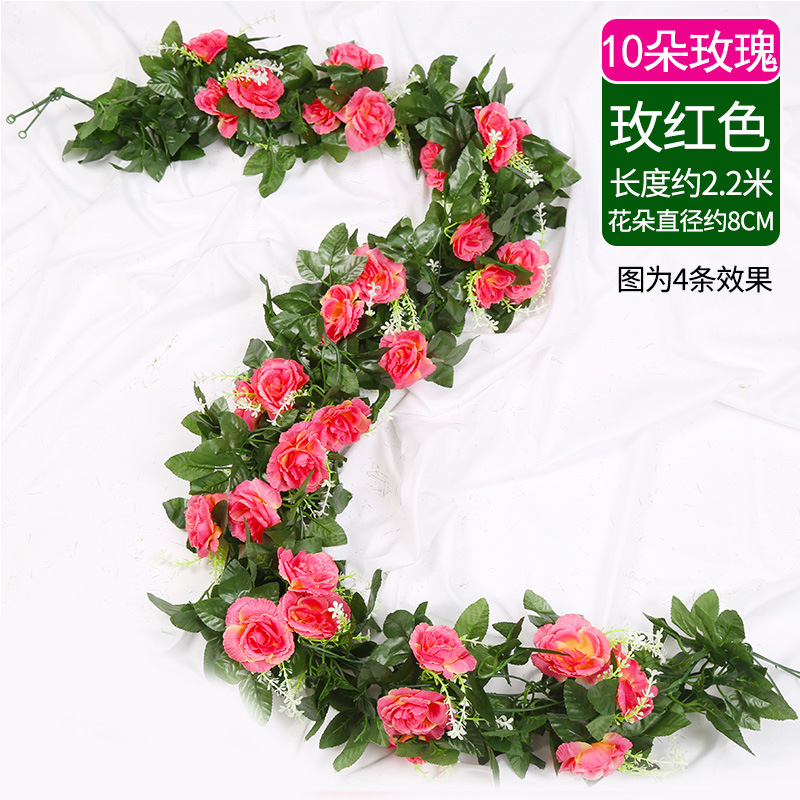 10 roses rouge rosé (1 bande)