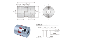 NJSKT Flexibele Aluminium Schijfkoppeling D20-L25 Kogelomloopspindel Connector As voor Krachtoverbrenging in Drukkerijen OEM - Product Image 3