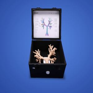 Broncoscopy training modello principale vie aeree Bronchi operazione intervento endoscopio respiratorio allenamento broncoscopio flessibile - Product Image 3