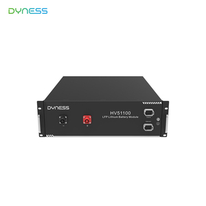 Système de stockage d'énergie en conteneur <span class=keywords><strong>Dyness</strong></span> Lithium Ion Battery Ess 48V 4,8 Kwh Bess - Product Image 3