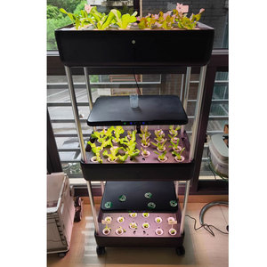 Sistema di Coltivazione Idroponica con Serbatoio d'Acqua, Giardino Intelligente da Interno con Luci LED <span class=keywords><strong>per</strong></span> la Crescita di Verdure, Frutta e Fiori - Product Image 4