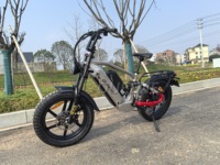 Bicyclette de chasse 20 pouces Pro Fast Electric Snow Fat Tyre 48V60V Dual Motors Electric Off-Road Bicycle Racing Bicicleta