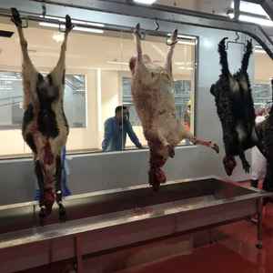 Machinerie d'abattage de moutons entièrement automatisée et motorisée pour <span class=keywords><strong>abattoir</strong></span> de moutons et usine de découpe de viande - Product Image 3