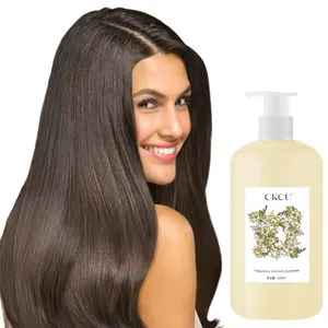 Óleo de abacate OEM de marca própria, shampoo e condicionador natural para cabelos com alta nutrição, óleo de coco e proteção da cor