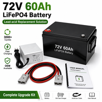 Аккумуляторная батарея Deep Cycle LiFePO4 72В 60Ач с интеллектуальной BMS для электрических трициклов, гольф-каров, погрузчиков (замена свинцово-кислотных аккумуляторов)