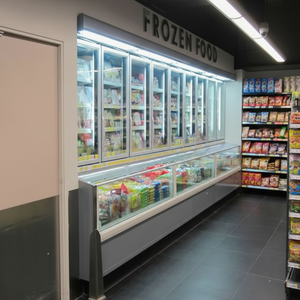 Congélateur combiné pour supermarché, pour la présentation de glaces et d'aliments surgelés - Product Image 3