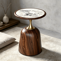 Table basse carrée moderne Tenghang en bois massif avec étagère inférieure pour salon, chambre à coucher, petit espace de rangement