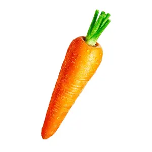 New Crop Red Carrot Wholesale Price Sweet Crisp Carrots with High Quality