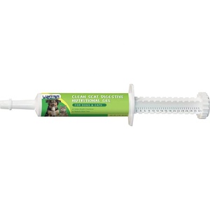 Gel nutritionnel digestif OEM Clean Scat pour chiens, pâte <span class=keywords><strong>multivitaminée</strong></span>, compléments alimentaires pour chiens, pâte nutritive pour animaux de compagnie - Product Image 1