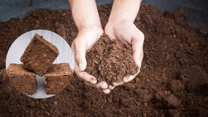 Eco Friendly Coco Peat for <b>Seed</b> Starting Gardening and <b>Hydroponic</b> Plant Care Available At Reasonable Price - Product Image 2